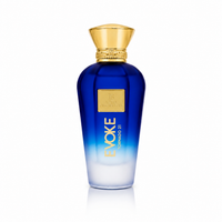 JB Loves - EVOKE TORNADO 21 | Eau de Parfum 100ml | Unisex